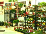 「トータルフローリスト　栗東ガーデン」　（滋賀県栗東市）の花屋店舗写真3